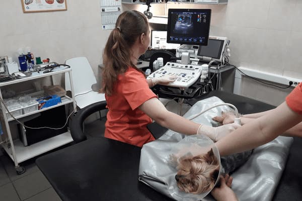 Сканер для ультразвуковой терапии